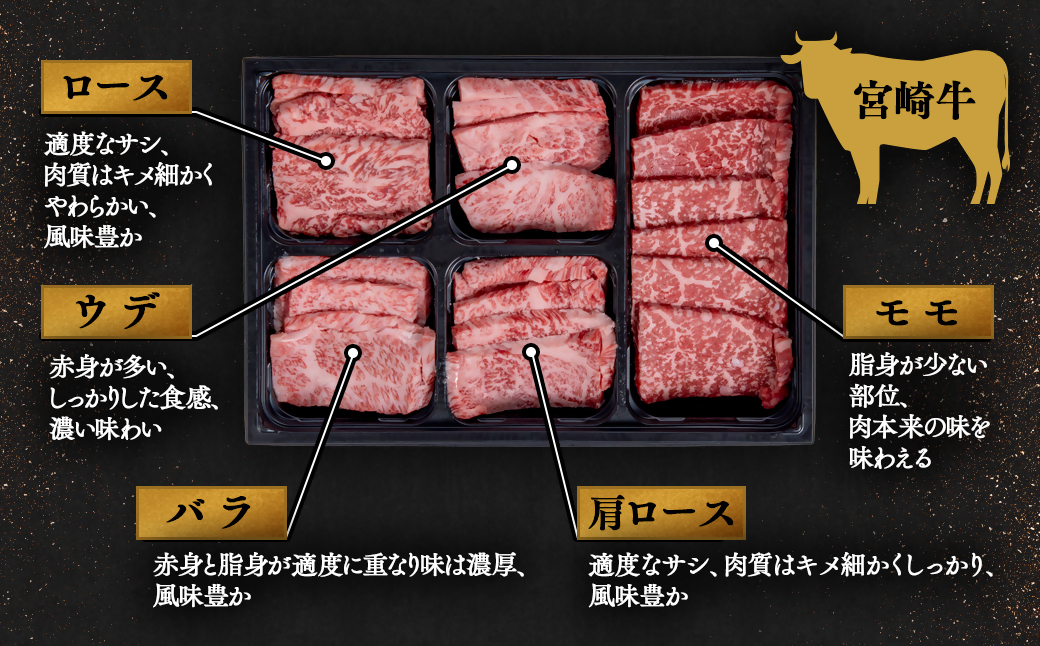 宮崎牛＆宮崎県産豚肉 焼肉10種盛り 食べ比べセット600ｇ ミヤチク 内閣総理大臣賞４連続受賞＜1.2-25＞牛肉 宮崎牛 豚肉 国産 宮崎牛 焼肉