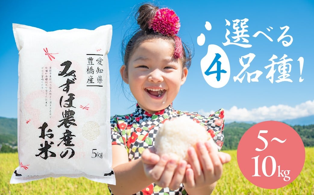 
            選べる 品種 こしひかり ミルキークイーン あいちのかおり にこまる《5kg / 10kg》コシヒカリ お米 おこめ コメ 米 こめ kome 5キロ 10キロ ふるさと納税米 産地直送 送料無料 愛知県 豊橋市
          