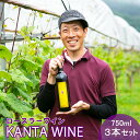 【ふるさと納税】ロースラー ワイン KANTA WINE 750ml×3本セット かんたわいん かんたはうす 赤ワイン 花巻市 大迫　地域おこし協力隊