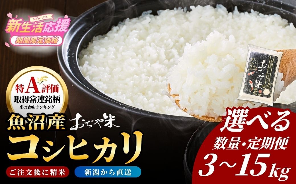 
                  【コシヒカリ 選べる数量】令和7年産 魚沼産コシヒカリ「おぢや米」精米 3kg/5kg/6kg/10kg/15kg JA魚沼 | 魚沼産こしひかり 魚沼コシヒカリ 新潟県産コシヒカリ 新潟産コシヒカリ こしひかり 特A評価 おぢや米 銘柄米 お米 米 白米 精米 ブランド米 コメ 3キロ 5キロ 10キロ にいがた おぢや 新潟県 小千谷市 【0002-JA00SV00】
                