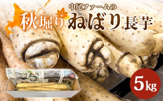 【秋堀り】中尾ファームのねばり 長芋 5kg | 長芋 国産 北海道産 野菜 取り寄せ ねばり長芋 秋掘り 山芋 とろろ すりおろし 粘り 甘い 素揚げ 和食 野菜 食材 健康 料理 おかず オンライン申請 マイページ ふるさと納税 北海道 羽幌町 中尾ファーム【34001】