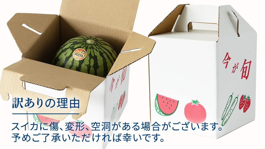 《 2027年 収穫分 》 訳あり 小玉スイカ 愛娘 2玉 先行予約 国産 KEK 小玉 スイカ すいか 小玉すいか こだますいか 国産 西瓜 フルーツ 果物 くだもの 訳アリ 不揃い 農家直送 旬 