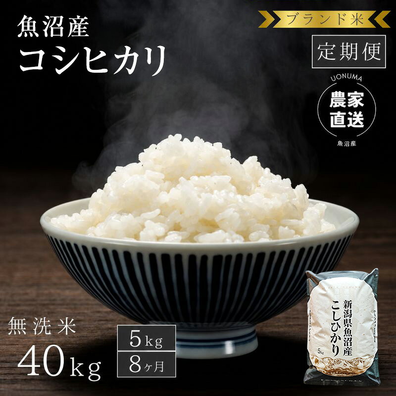 【ふるさと納税】【定期便：無洗米5kg×8ヶ月】ブランド米 魚沼産コシヒカリ 米 こしひかり 新潟 定期　お届け：寄附入金確認後の翌月より発送