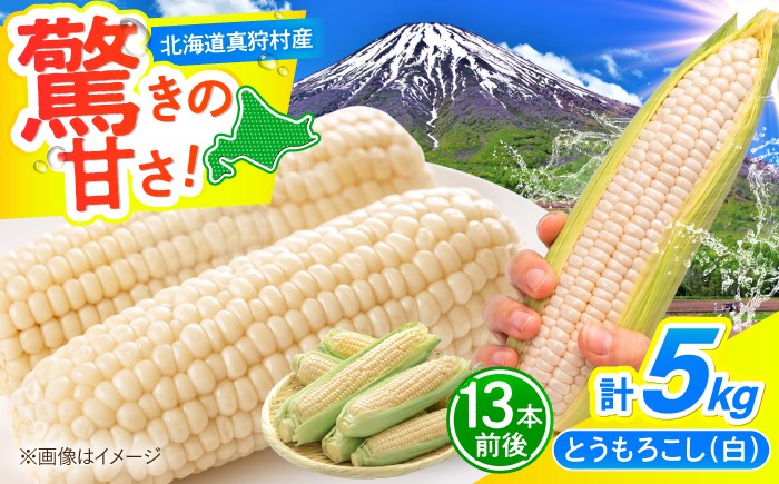 
                  とうもろこし 白 5kg  |  とうもろこし とうきび トウモロコシ トウキビ コーン 野菜 やさい 北海道 産地直送 採れたて野菜 旬 夏野菜 自然 旨味 甘味 人気 | 道の駅 真狩フラワーセンター [BPAM021]
                