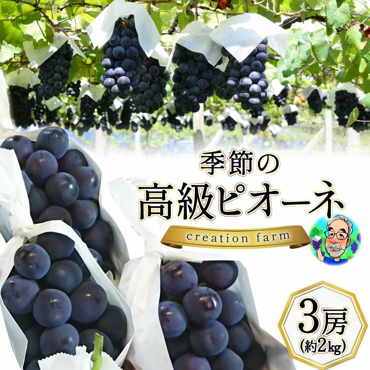 【ふるさと納税】 【2026年発送】 ぶどう 先行受付 ピオーネ 2kg 山梨 季節のぶどう ピオーネ 山梨 やまなし 高級 3房 約2kg 《8月下旬～9月上旬お届け》 ぶどう ブドウ 葡萄 ピオーネ 大粒 2キロ 果物 フルーツ くだもの 季節限定 [Creation farm 山梨県 韮崎市 20743253]