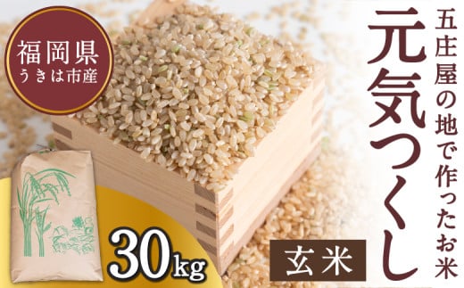 【特Aランク米】五庄屋の地で作ったお米 元気つくし 玄米 (30kg) 【2025年10月上旬より順次発送予定】 こめ コメ ごはん ご飯 福岡県うきは市産 九州産
