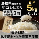 【ふるさと納税】【毎月定期便】栽培期間中化学肥料・化学農薬不使用 R1米コシヒカリ5kg(玄米)全3回【4056797】