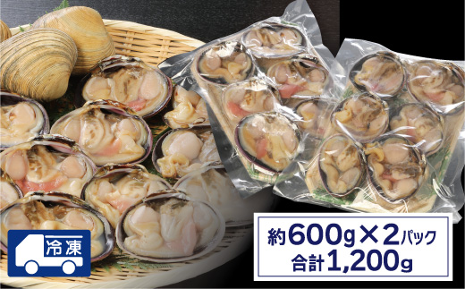 【愛知県三河産】大アサリハーフカット 6入×2パック_【G0657】