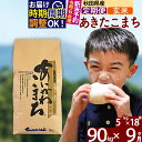 【ふるさと納税】※令和6年産 新米予約※《定期便9ヶ月》秋田県産 あきたこまち 90kg【玄米】(5kg小分け袋) 2024年産 お届け周期調整可能 隔月に調整OK お米 藤岡農産