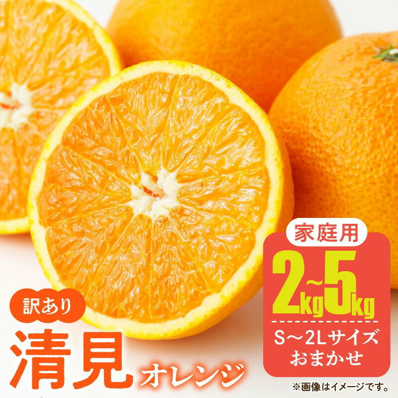 【ふるさと納税】 【先行予約】ご家庭用 きよみ 清美オレンジ 和歌山 有田 S～2Lサイズ 大きさお任せ【訳あり】 容量 2kg～5kg ※2月上旬～3月下旬に順次発送予定/ きよみ 柑橘 和歌山 有田 //decopon
