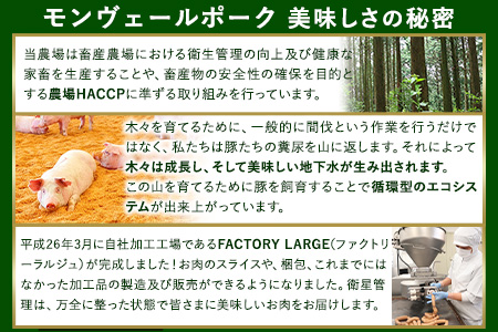 熊本県産甘み溢れるモンヴェールポークこま切れ2kg(250g×8パック)《60日以内に出荷予定(土日祝除く)》熊本県 葦北郡 津奈木町 肉ののうやま 有限会社のうやま 豚肉 豚こま