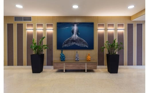 水中写真家 高橋怜子 全倍写真パネル 高橋怜子 海の絶景  ジオグラフィック写真コンテスト  ナショナルジオグラフィック 総合グランプリ受賞 壁掛け フォト インテリア Reiko Takahashi photography 海 写真作品 水中 世界 海洋 写真ギフト 写真パネル プレゼント 岩手県 北上市 Y0038