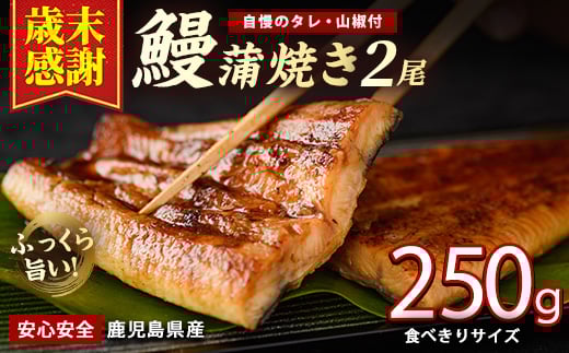 
            【歳末感謝】【鹿児島県産】うなぎ蒲焼じっくり焼き約125g×2尾 化粧箱入り(大新/012-2001) 化粧箱入り 鰻 ウナギ 蒲焼 国産 丑の日 うな重 無頭 ギフト プレゼント 贈り物 贈答
          