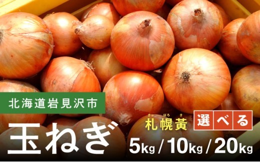 
                  ＜選べる内容量＞幻の玉ねぎ！札幌黄（さっぽろき）5kg〜20kg｜タマネギ たまねぎ 玉葱 北海道 岩見沢市【a168-010-sku】
                