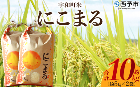 新米＜令和7年産 西予市宇和町産 にこまる 約2kg/5kg/10kg＞ お米 コメ 白米 精米 単一原料米 ご飯 晩稲 大粒 精米 ご飯 ライス 穀物 ニコマル 特産品 愛媛県産 西予市産 宇和町産 三好フク 愛媛県 西予市【常温】『2025年10月中旬より順次出荷予定』UMH0005