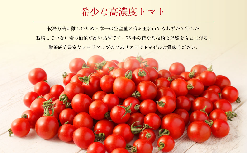 ソムリエ ミニトマト プラチナ 3kg とまと トマト 野菜 やさい 熊本県産 【2024年12月下旬発送開始】