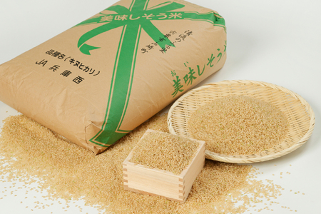 I4【令和7年産】しそうのおいしい お米　キヌヒカリ 玄米 30Kg