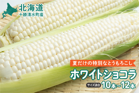 【2025年8月～発送開始！】北海道十勝清水町産 白いとうもろこし ホワイトショコラ サイズ混合 10～12本 北海道産 2025年 とうもろこし とうきび 産直 産地直送 清水町 北海道 _S021-0018