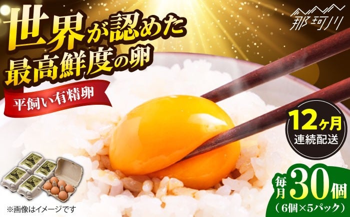 
            【全12回定期便】【TVで紹介！】 金太郎卵 平飼い 卵 30個（6個×5P）＜有限会社 フジノ香花園＞那珂川市 定期便 12ヶ月 有精卵 平飼い卵 たまご 新鮮 たまご 卵 玉子 タマゴ 鶏卵 オムレツ 卵かけご飯 朝食 料理 人気 卵焼き 平飼い  平飼  定期便 [GAM019]
          