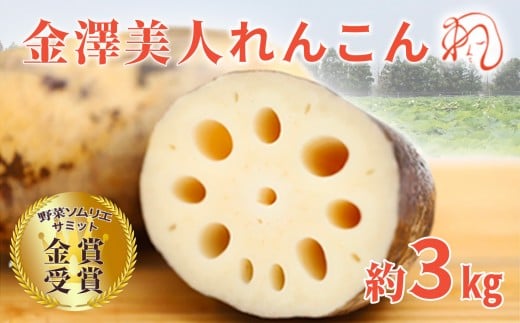 金澤美人れんこん 3kg 蓮根 野菜 根菜 レンコン | 石川 金沢 加賀百万石 加賀 百万石 北陸 北陸復興 北陸支援