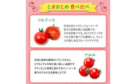 【定期便 連続5カ月】 栃木県 鹿沼産 高糖度 フルーツトマト ”とまおとめ” 食べ比べ 1kg×5回 ｜ 野菜 トマト カキヌマファーム アイコ フルティカ アルル イエローアイコ 濃厚 甘み 旨み