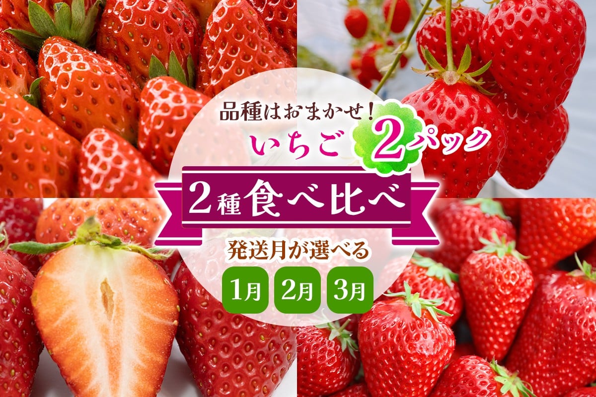
                  いちご 2種 (2パック) 食べ比べセット 発送月が選べる [1月／2月／3月] 品種はおまかせ！｜苺 イチゴ 果物 フルーツ 産地直送 [3225-3228]
                