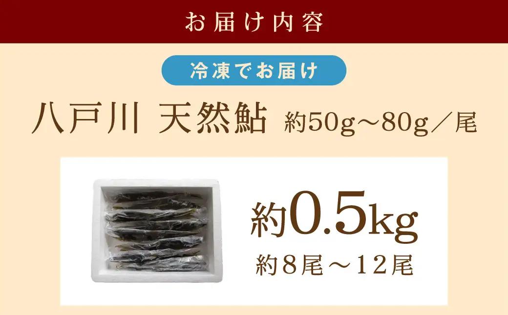 【先行予約】八戸川 天然鮎（0.5kg）＜2026年6月10日よりお届け＞【192_2003】