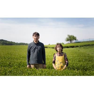 ふるさと納税 臼杵市 有機JAS認証♪手軽に美味しく楽しめる!高橋製茶の有機緑茶詰め合わせ[銀](計170g) |  | 03