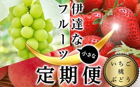 ＜2026年から開始の定期便＞伊達な小さなフル－ツ定期便（いちご約500g・桃約1kg・ぶどう1房）果物 フルーツ 桃 モモ 苺 イチゴ 葡萄 ブドウ 福島県 伊達市 F21C-019