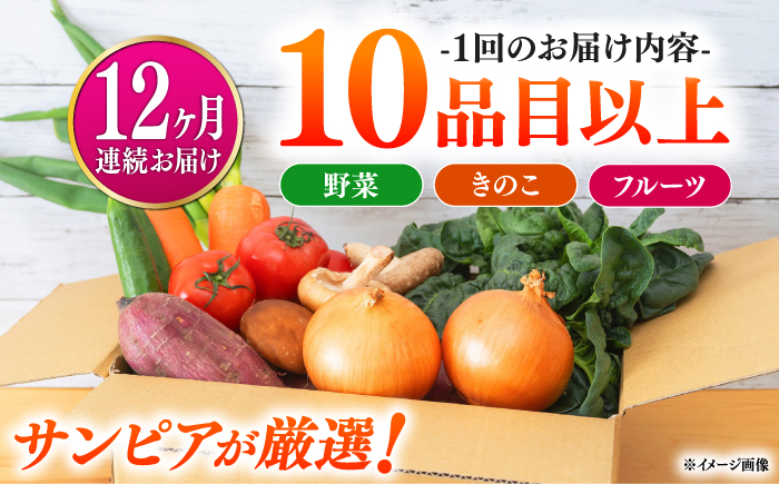 【12回定期便】＜配送時期が選べる＞採れたて野菜 お楽しみ便 （ 野菜 果物 きのこ 10品目以上 ） 野菜 フルーツ やさい 野菜セット 野菜定期便 旬 定期便 毎月 / 南島原市 / サンピア [