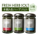 【ふるさと納税】限定生産！手摘み生ハーブソルト詰め合わせ【ハーブ・ソルト・塩・料理・調理・贈り物・ギフト・プレゼント・肉料理・魚料理】