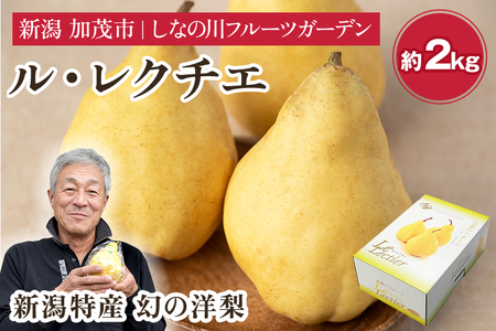 【2025年先行予約】新潟特産 幻の洋梨ル・レクチェ【青秀品】約2kg《11月下旬～お届け》