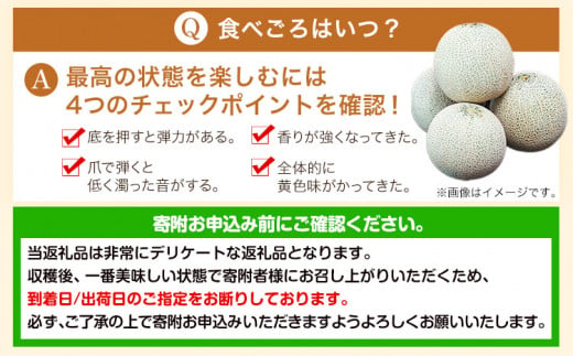 フェスタメロン 2玉 2L～3L《4月中旬-5月末頃出荷》 大津町 果物 フルーツ メロン めろん---oz_fstmrn_bc4_23_11000_2t---