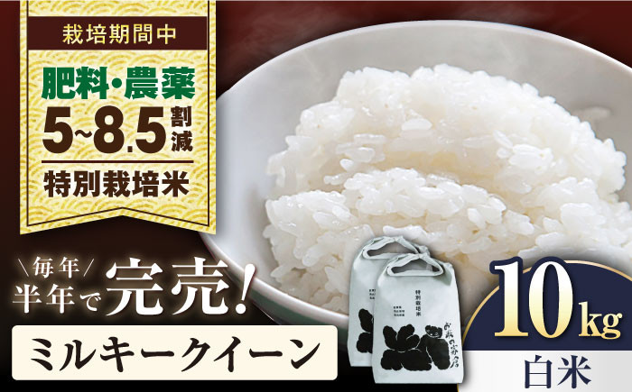 
            【令和7年産新米】ミルキークイーン  10kg（5kg× 2） 白米  特別栽培米  長浜市/株式会社お米の家倉 [AQCP022] 米 お米 白米  10kg  ミルキークイーン 特別栽培米  滋賀県産 長浜市産 こめ 精米 お米 新米 食品 ふるさと納税 国産 炊きたて 米ギフト もちもち ブランド米  食卓 美味しい 産地直送 節約 人気
          