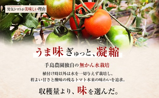 【先行予約】【限定30】男気トマトミニ 1箱 1kg 250kg×4袋 化粧箱入り | ミニトマト トマト プチトマト とまと 野菜 有機肥料 濃厚 完熟 低農薬栽培 無かん水栽培 凝縮 産地直送 農