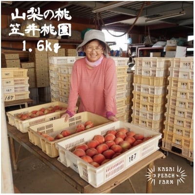 
                  ＜2026年発送先行受付＞厳選朝採り桃 山梨の笠井桃園の桃 1.6kg【1456448】
                