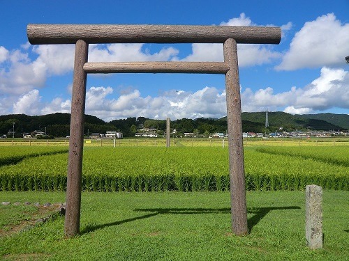 伊勢ひかり 10kg お米 白米 精米 米 おすすめ 国産 朝ごはん 朝食 晩ごはん ご飯 夕食 三重県 志摩市 伊勢 志摩 伊勢奉祝 奇跡のお米 10キロ おこめ こめ コメ