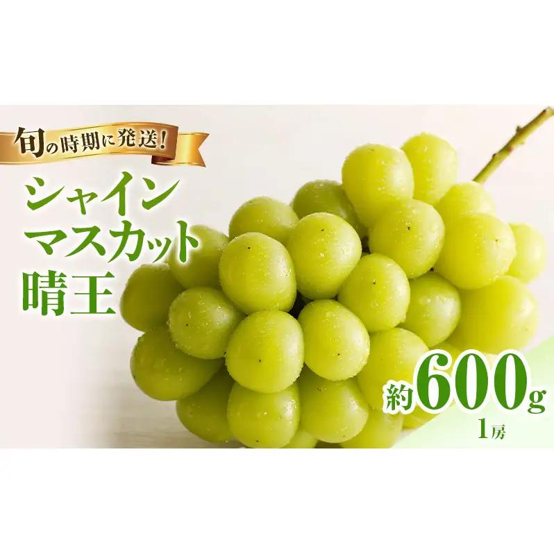 シャインマスカット 晴王 秀品 岡山県産 シャインマスカット【1房 約600g】【先行予約】