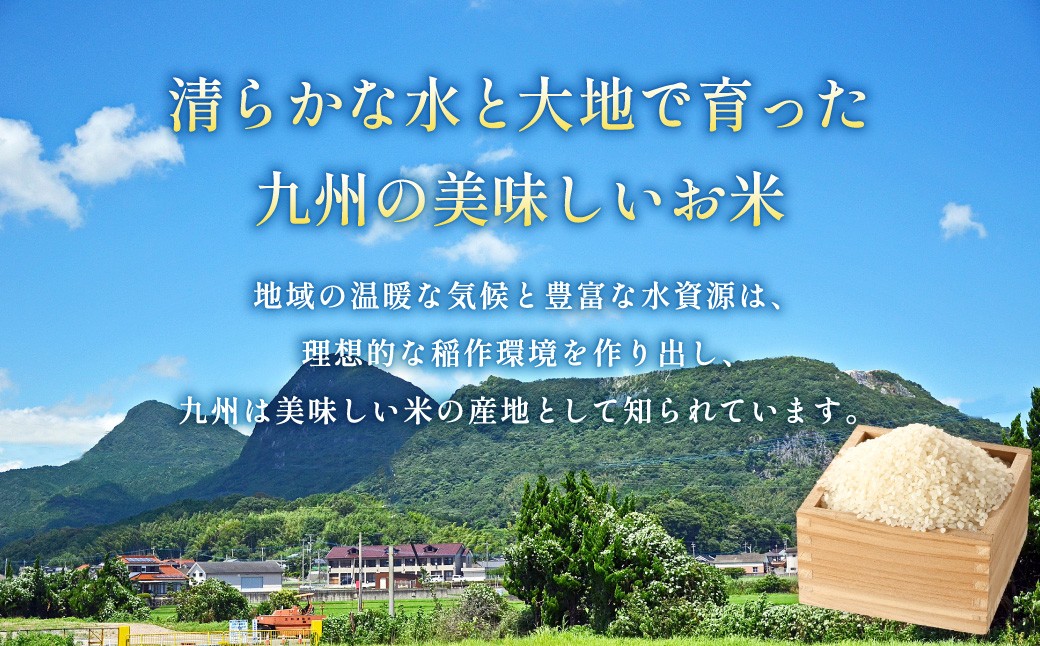【選べる定期便】 はるかおり