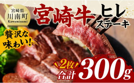 宮崎牛 ヒレステーキ 300g 【 肉 牛肉 国産 宮崎県産 黒毛和牛 ヒレステーキ 】