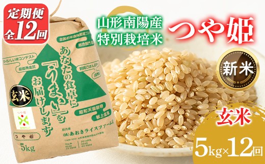 
                  【令和8年産 新米 先行予約】 【金賞受賞農家】 《定期便12回》 特別栽培米 つや姫（玄米）5kg×12か月 《令和8年9月下旬～発送》 『あおきライスファーム』 山形南陽産 米 玄米 ご飯 農家直送 山形県 南陽市 [2630-R8]
                