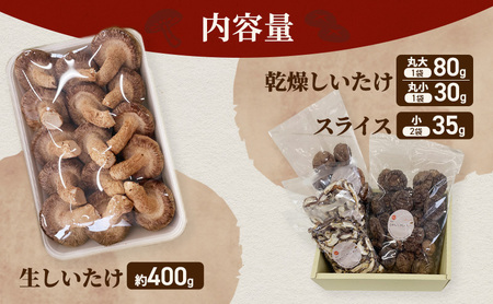 【遠州どまんなかしいたけ】 生しいたけ・乾燥しいたけセット (生しいたけ 約400g , 乾燥しいたけ　丸大 80g1袋 丸小 30g1袋 , スライス 小35g2袋)　干し椎茸 産地直送 国産 料理