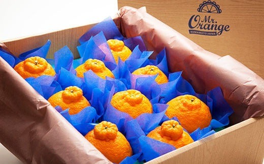 環境マイスターの不知火 良品2.5kg （栽培期間中は無肥料・低農薬） 果物 くだもの フルーツ 不知火 しらぬい 柑橘 みかん 【2026年1月上旬〜4月下旬迄順次発送予定】