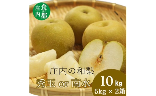 食の都庄内　庄内の和梨【秀玉or南水】約10kg※9月中旬ごろより順次配送
