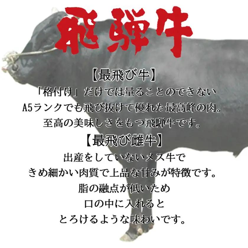 【最飛び雌牛】飛騨牛A5等級モモカタスライス　500g【配送不可地域：離島】【1520155】