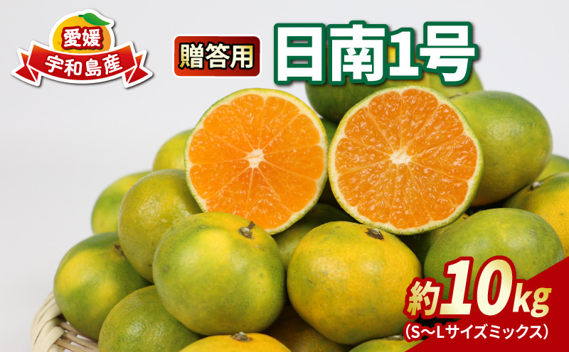 
                  贈答用 愛媛みかん 極早生 日南1号 10kg S~L サイズ ミックス 不揃い 玉津みかん ニュービジネスユニット 極早生みかん 温州みかん 高級 ギフト 贈答品 果物 フルーツ 柑橘 蜜柑 mikan 農家直送 産地直送 数量限定 国産 愛媛 宇和島 B018-058011
                