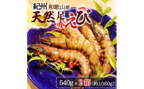 紀州和歌山産天然足赤えび540g×2箱（270g×4パック）化粧箱入 ※2024年11月上旬～2025年2月上旬頃順次発送予定（お届け日指定不可）【uot773A】