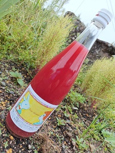 Bisou delaware（デラウェアジュース）７２０ｍｌ　0160-2501