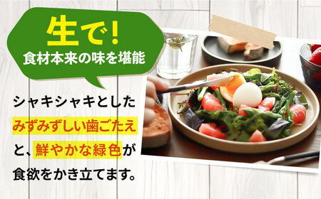 【先行予約】壱岐産　アスパラガス 2kg　【2025年3月以降順次発送】《壱岐市》【壱岐市農業協同組合】[JBO148]