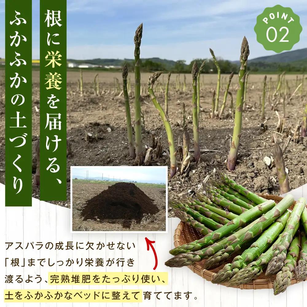 【2027年先行予約】朝採りアスパラ Lサイズ 2kg（500g×4）鮮度保持パック入り 旭川近郊産 露地物（5月中旬発送開始予定）| アスパラ 北海道 _01591